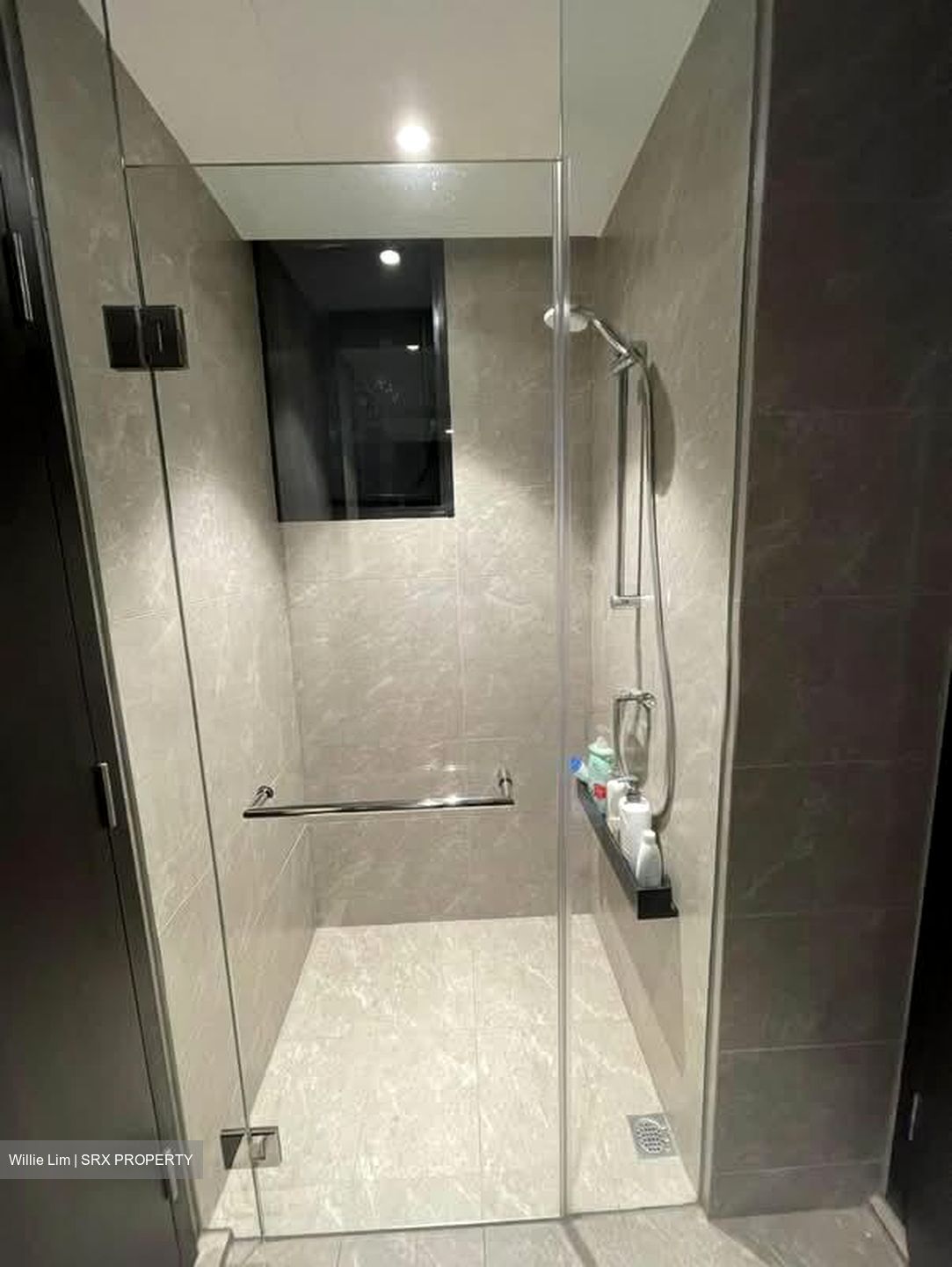Park Colonial (D13), Condominium #559749321